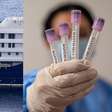 Brasil tem 7 casos de hantavírus em 2026, mas sem relação com navio