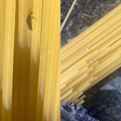 Consumidora encontra inseto em pacote de macarrão; saiba o que fazer