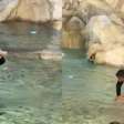 Turista é multado em quase R$ 3 mil por mergulhar na Fontana di Trevi