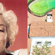 Mansão de Marilyn Monroe vira caso de Justiça: avaliado em quase R$ 40 milhões, imóvel de luxo onde atriz morreu é alvo de manobra de prefeitura para não ser demolida; entenda