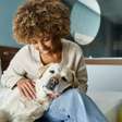 Cachorros: como o animal escolhe quem é a sua pessoa favorita dentro de casa