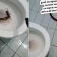 Turista encontra lacraia gigante dentro de vaso sanitário em hotel na Colômbia
