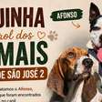 A luta de Bruno e dos filhotes resgatados do Terra de São José 2