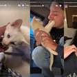 Eita! Ana Castela foi brincar com gatinho e acabou tendo reação alérgica