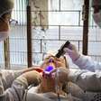 Consultórios móveis levam odontologia para mais perto de quem não pode sair de casa