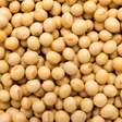 Como substituir a carne nas refeições? Veja 4 proteínas vegetais saborosas