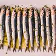 3 motivos por que as sardinhas são um alimento barato e ideal para sua saúde