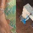 Mãe é presa por suspeita de torturar o próprio filho e mantê-lo acorrentado em Goiás