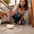 Cebola faz mal para cachorro? Entenda o perigo real e os sintomas
