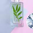 Foco no treino com perfumes frescos que não incomodam na academia