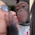 'Virgínia beijou o macaco ciente de que': referência nos estudos antirracistas, Carla Akotirene DETONA influenciadora e aponta machismo de Vini Jr.