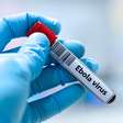 "Não há vacina licenciada ou terapia específica" o que mudou do último surto de Ebola para o de 2026?