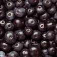 Pelo bem da sua família, mude a dieta hoje mesmo: especialistas descobriram que o açaí é um tesouro para salvar o cérebro dos jovens e reduzir ansiedade e depressão
