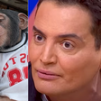 'Onde você estava com a cabeça?': Léo Dias detona Virgínia ao vivo após vídeo com macaco, e comentarista chora ao falar de racismo