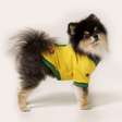 Seu cãozinho foi convocado? Veja nomes de jogadores mais comuns para pets