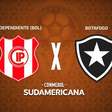 Petrolero x Botafogo, AO VIVO, com a Voz do Esporte, às 19h30