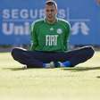 Ex-goleiro do Palmeiras busca emprego no LinkedIn