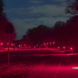 Dinamarca troca cor de iluminação nas ruas para proteger espécies de morcegos