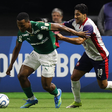 Palmeiras perde para o Cerro e vê invencibilidade chegar ao fim