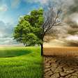 Desertificação avança em diferentes regiões do planeta e preocupa especialistas pelos impactos sobre água, agricultura e população