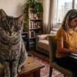 5 atitudes do seu gato que podem indicar carência emocional (e como ajudar)