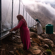 Com o desaparecimento das aldeias e o avanço do deserto, as mulheres em Marrocos escalam montanhas para capturar a neblina e transformá-la em água potável