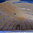 Concreto inflável promete reduzir custos e acelerar obras; entenda como a tecnologia funciona