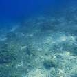 A energia do oceano: como ondas e marés podem transformar o futuro da eletricidade