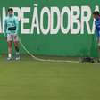 Ramón Sosa, do Palmeiras, inicia transição física e faz atividades com bola