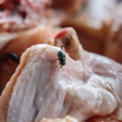 Pouca gente sabe, mas colocar essa erva na bancada da cozinha é um truque simples para manter as moscas longe da comida