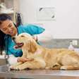 Animal vomitando: 7 causas comuns que merecem atenção