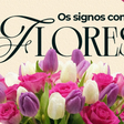 Descubra qual flor combina com a energia do seu signo