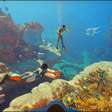 Krafton concordou em pagar os US$ 250 milhões aos desenvolvedores de Subnautica, segundo relatório