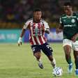 Palmeiras defende escrita por vaga na Libertadores em despedida dos convocados