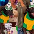 Cachorro acolhido por cantora na Paraíba ganha festa de mesversário de adoção