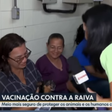 Pinscher rouba a cena em entrevista ao vivo sobre vacinação contra a raiva; veja vídeo