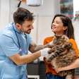Entenda os impactos da castração no comportamento de cães e gatos