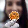 Biotecnologia 3D: Embrapa cria salmão e caviar veganos em laboratório de nanotecnologia