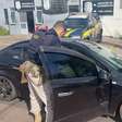 Homem é preso em flagrante por roubo na BR-116, São Leopoldo