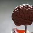 Encontramos um "interruptor" oculto do Alzheimer. E o melhor é que temos candidatos promissores para desligá-lo