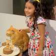Gato ganha festa de aniversário e comportamento 'indiferente' do pet chama atenção na web