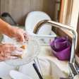 Esponja de cozinha pode esconder bactérias; veja quando trocar