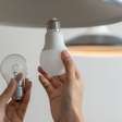 Eu não sabia por que não podia descartar as lâmpadas de LED no lixo de casa. Existe um local correto para isso