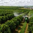 Gulf participa da Bahia Farm Show com produtos certificados