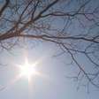 El Niño: ONU alerta para possibilidade de calor extremo e apagões no Nordeste brasileiro