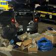 Homem é preso com cerca de 40 quilos de skunk em Porto Alegre