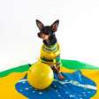 Copa do Mundo, fogos e ansiedade: veja como proteger os cães durante as comemorações