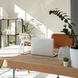 Quer ter plantas na mesa do escritório? Estas espécies sobrevivem à luz artificial