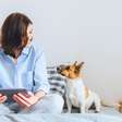 Socialização: como o dia a dia molda o comportamento dos pets