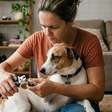 Pode cortar a unha do cachorro em casa? Antes de tentar, saiba isto